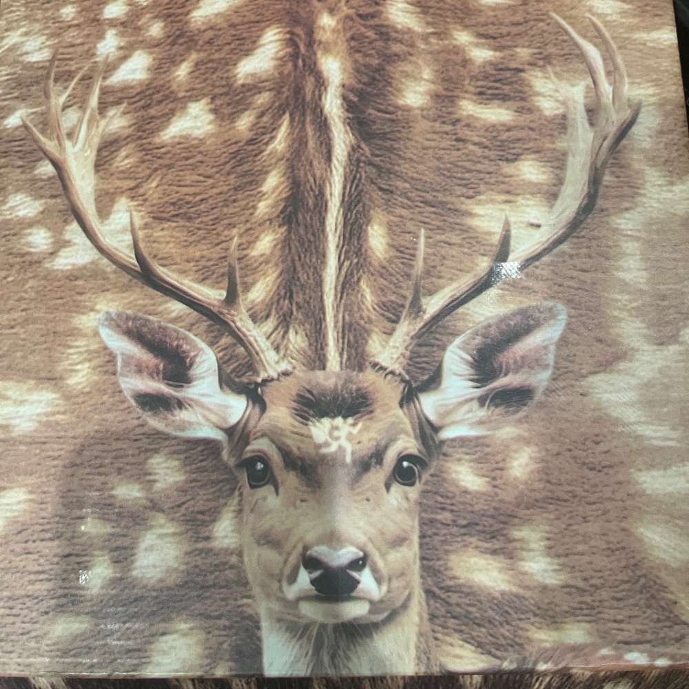 Worst Case Bambi Tabi Mules - Picture 2 of 5